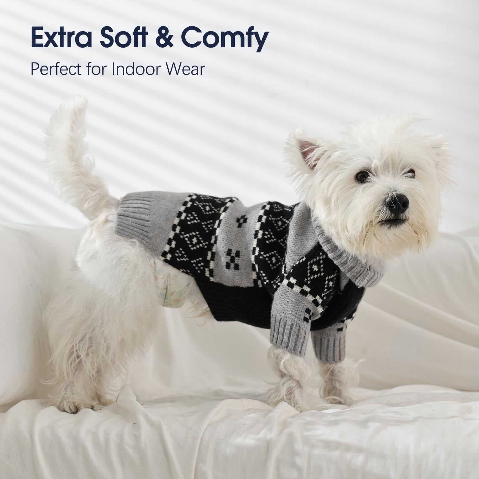 IECOii Great Dane Sweater model-wearing shows indoor-outdoor versatility for giant breeds.
