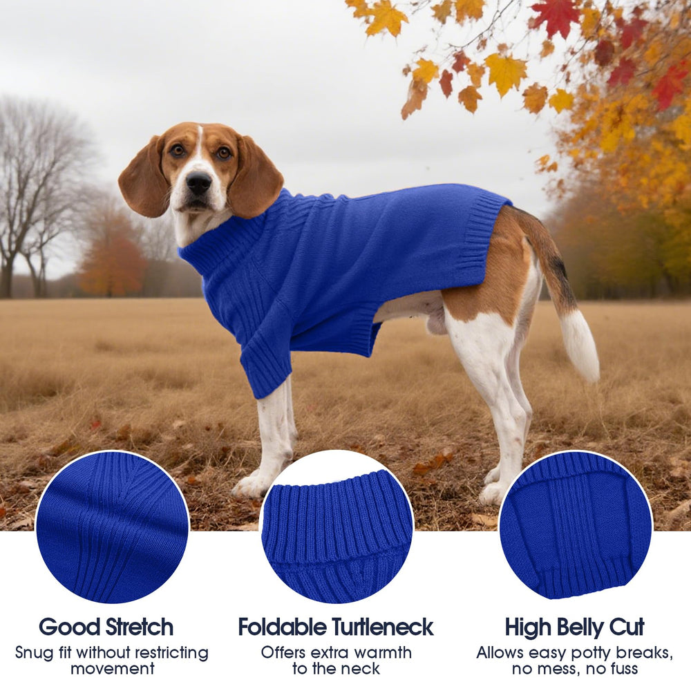 IECOii Great Dane Sweater turtleneck-closeup emphasizes snug wrap