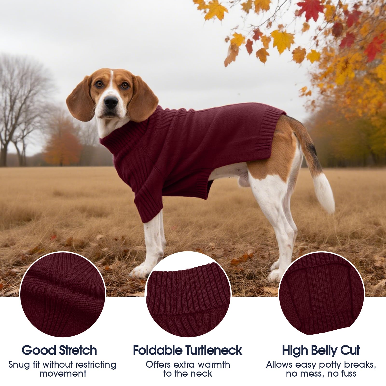 IECOii Great Dane Sweater turtleneck detail highlights neck warmth without hindering movement.
