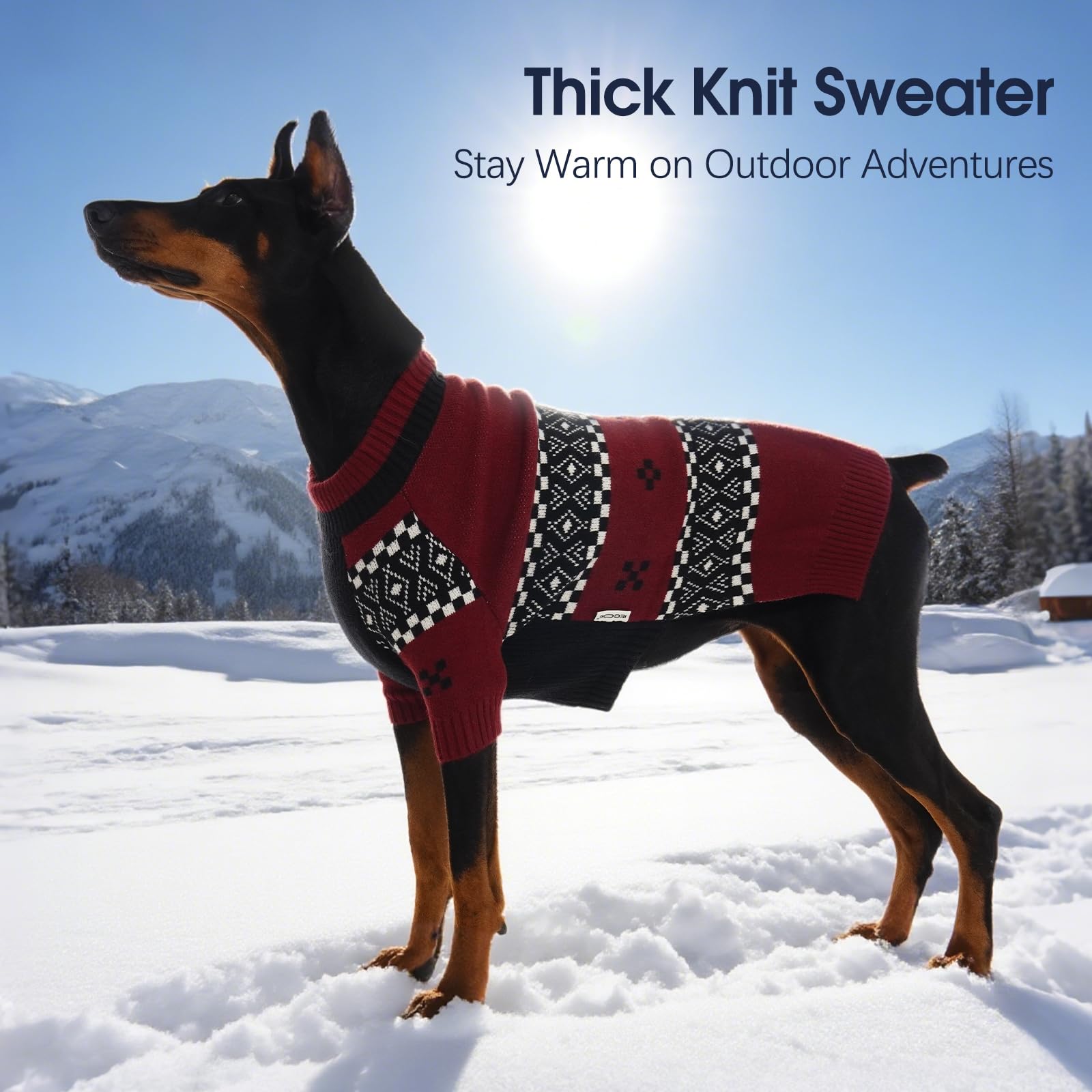 IECOii Great Dane sweater worn during a walk illustrating easy pullover wearing