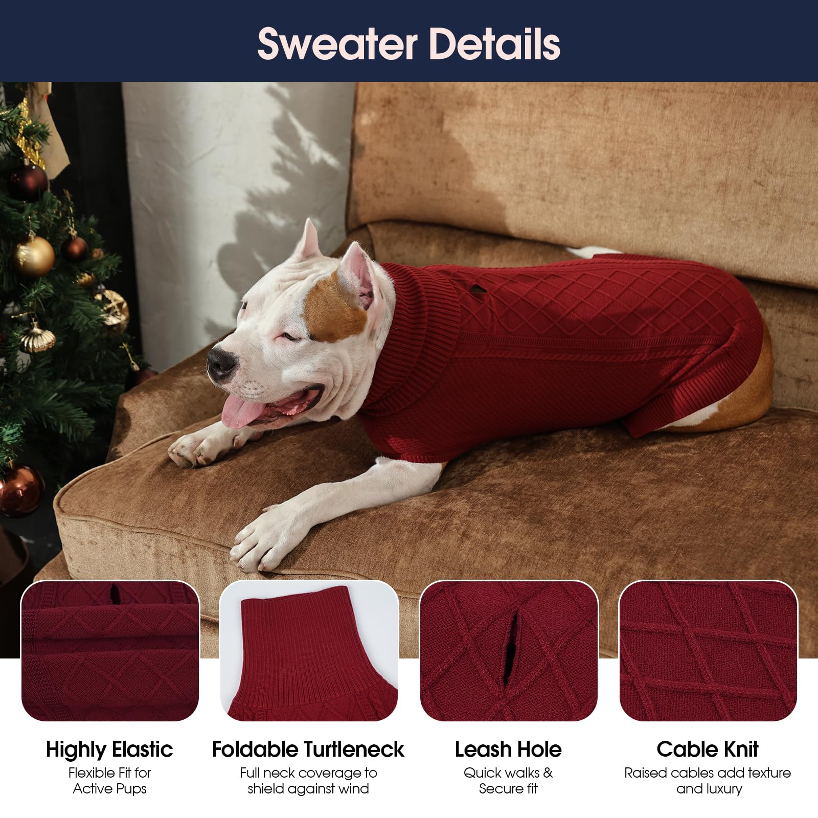 IECOii dog wearing sweater for outdoor walk in cool weather