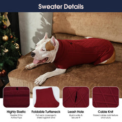 IECOii dog wearing sweater for outdoor walk in cool weather