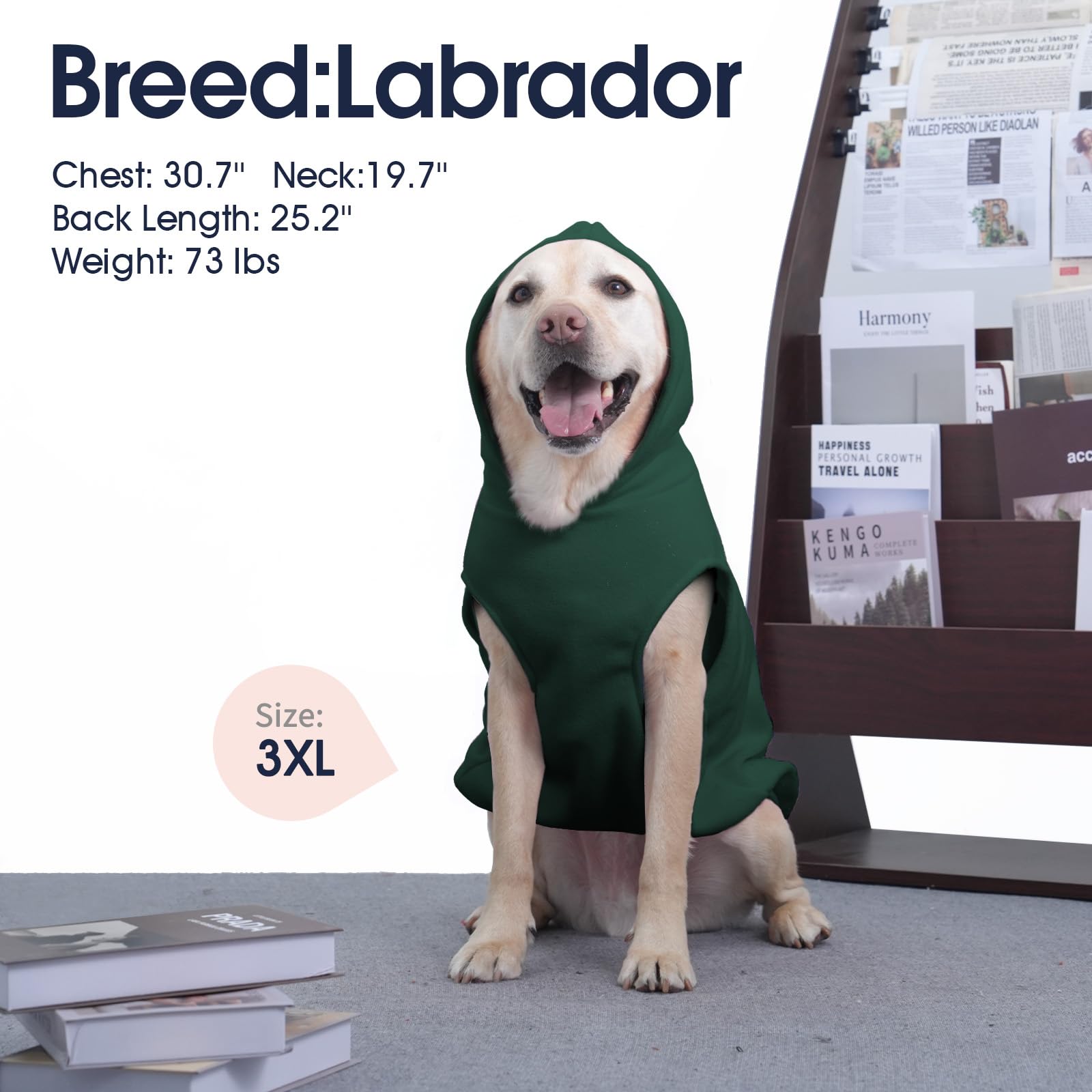 IECOii dog hoodie use case for everyday outdoor walks and porch rests.