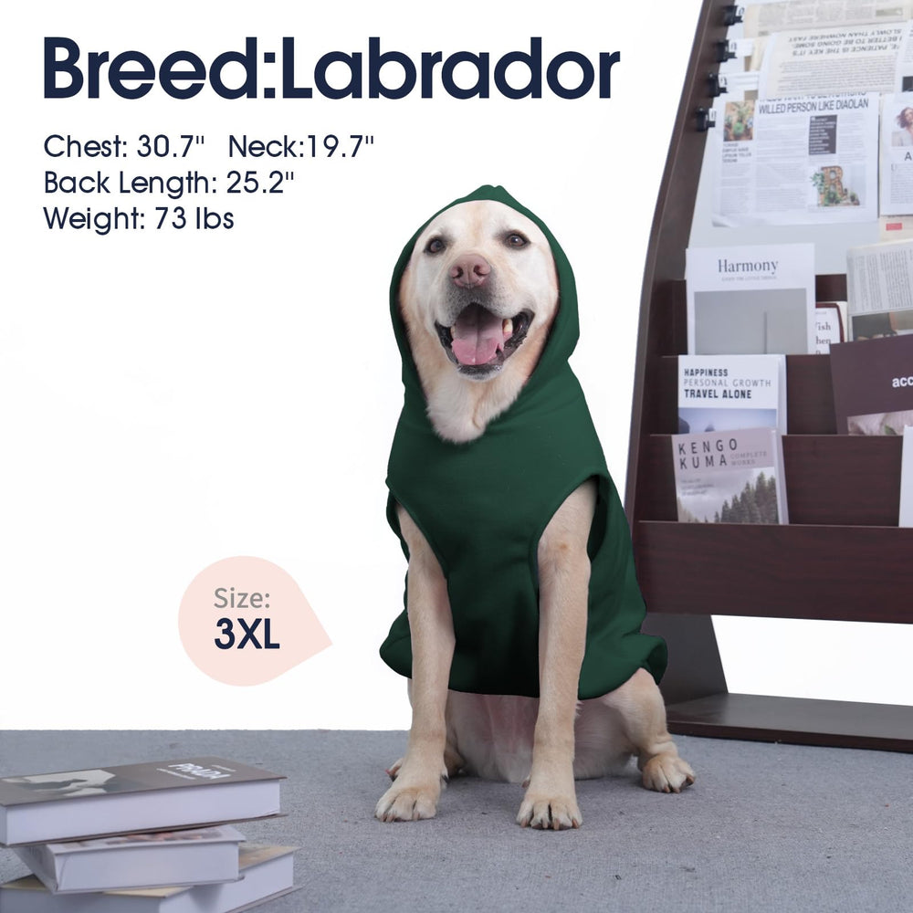 IECOii dog hoodie use case for everyday outdoor walks and porch rests.