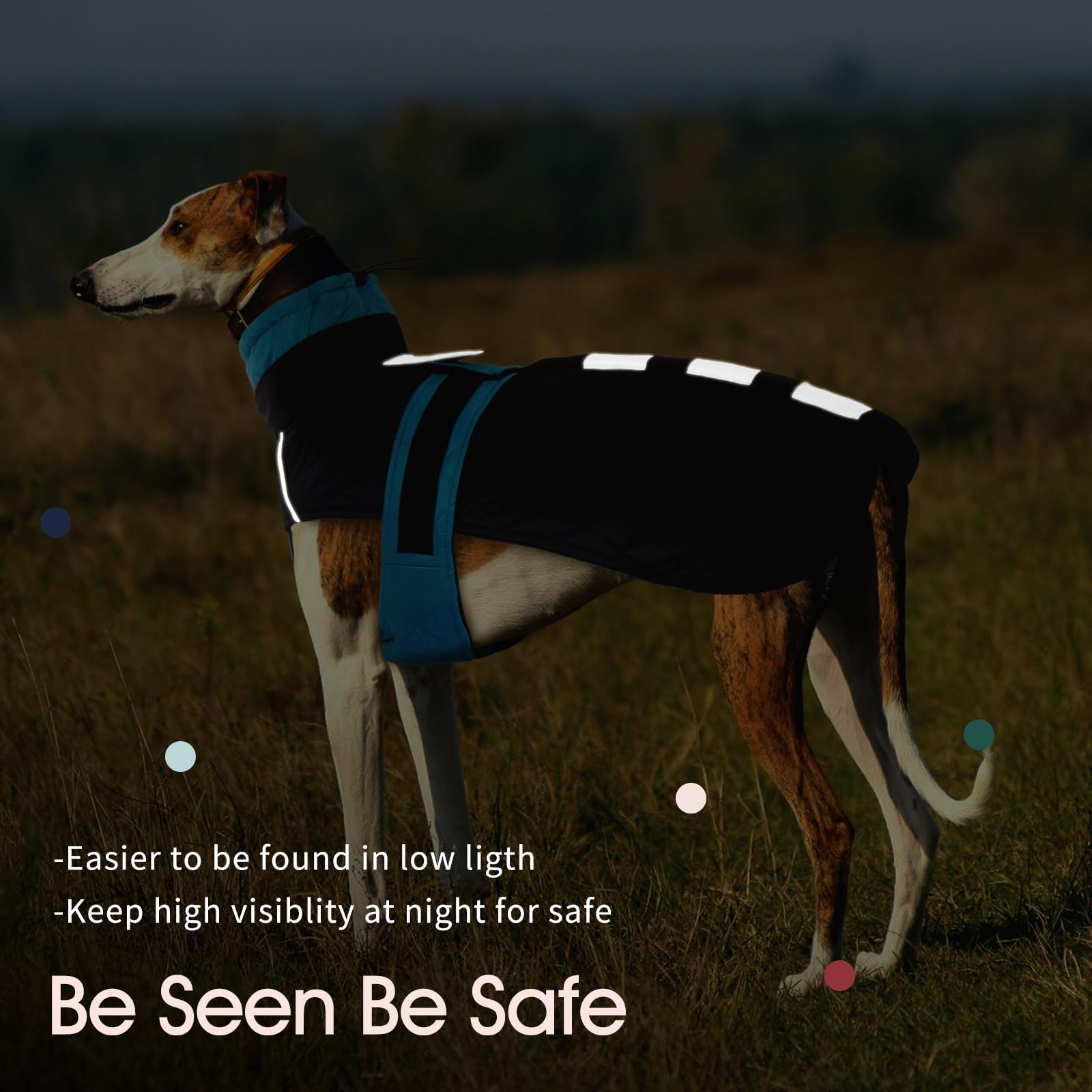 IECOii Greyhound coat reflective stripes boost visibility during night walks.