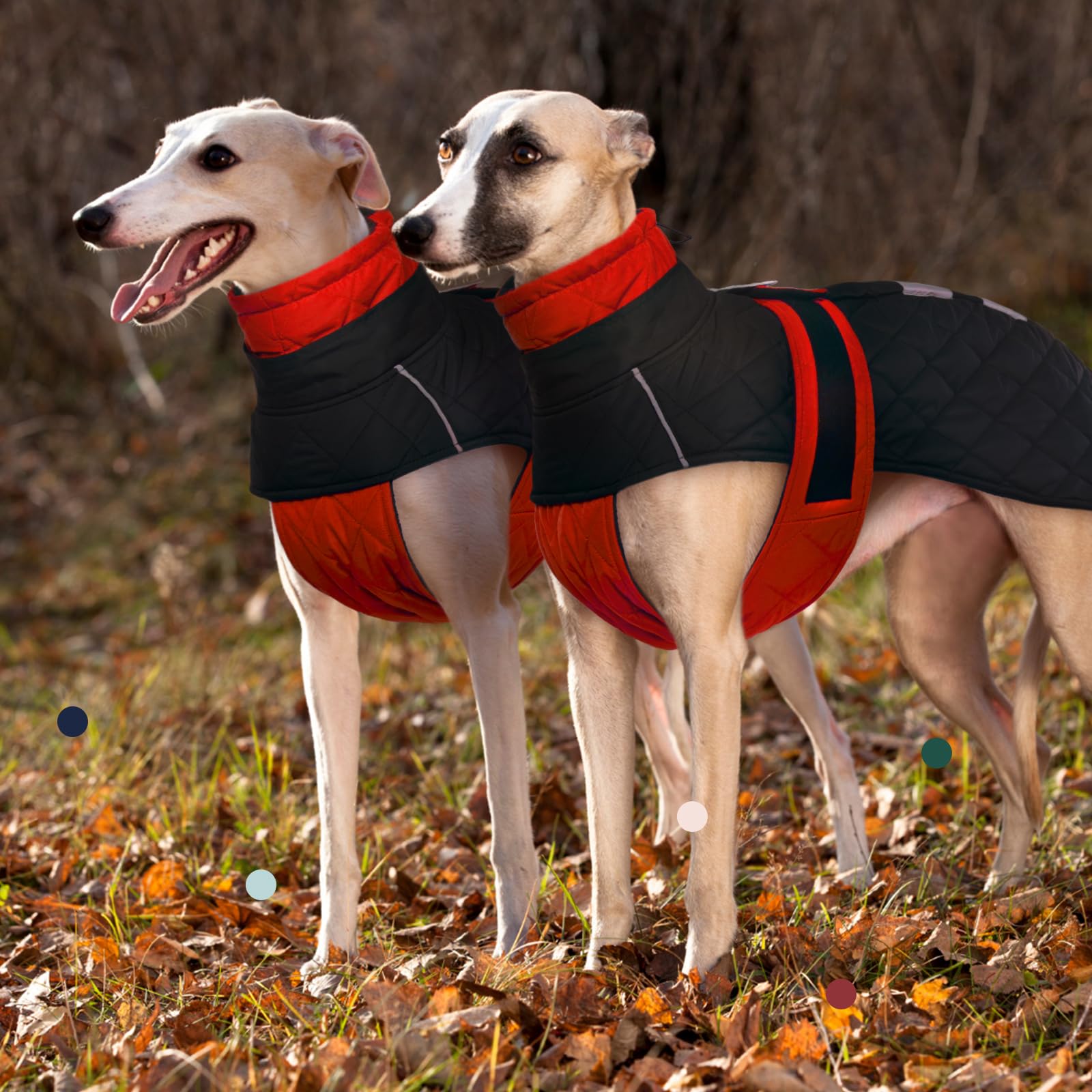 IECOii Greyhound Cozy Fleece Jumper harness friendly with hidden leash hole