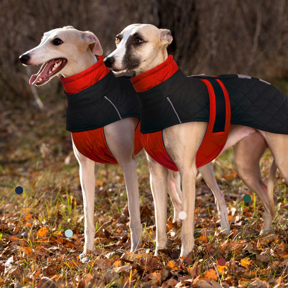 IECOii Greyhound Cozy Fleece Jumper harness friendly with hidden leash hole