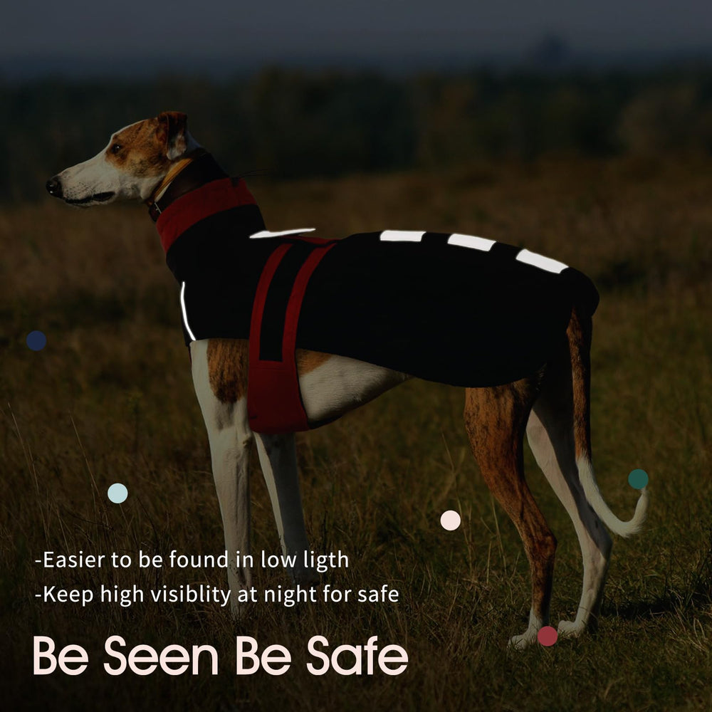 IECOii Greyhound Cozy Fleece Jumper in action during a walk
