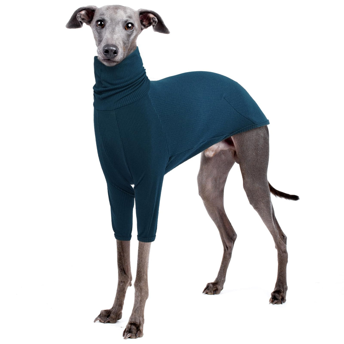 IECOii greyhound jumpsuit front view shows snug turtleneck warmth.