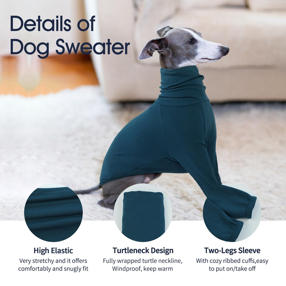 IECOii greyhound jumpsuit side profile highlights ergonomic cut for movement.