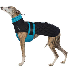 IECOii Greyhound Winter Coat overview highlights cozy warmth and a weather-ready exterior for large breeds