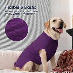 IECOii holiday dog sweater used as Thanksgiving costume-ready