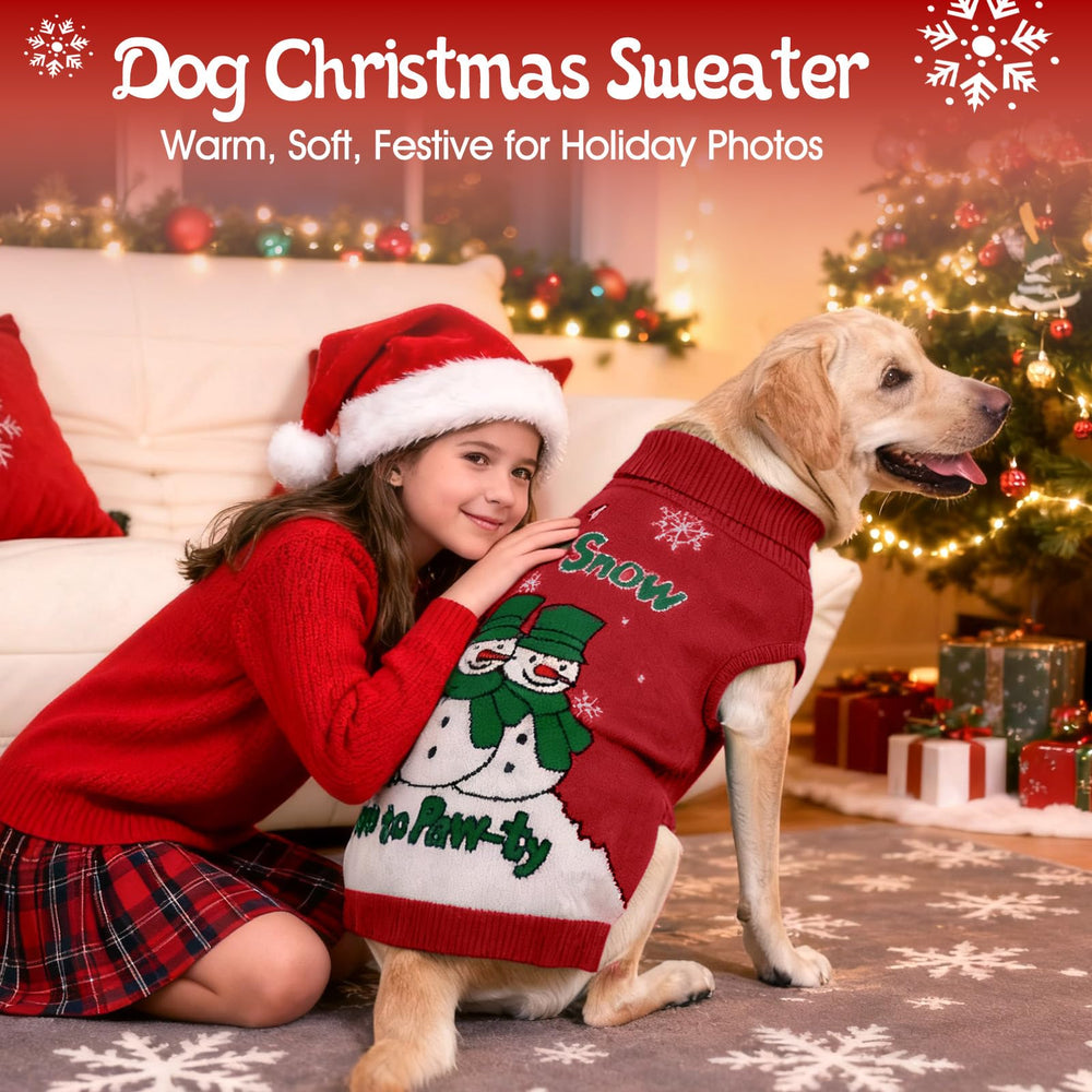 IECOii holiday party-ready look for dogs boosts photo memories