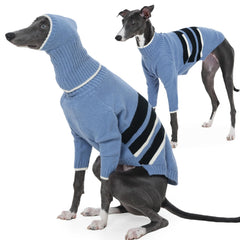 IECOii Italian Greyhound sweater with hooded design for a snug, wind-ready fit.