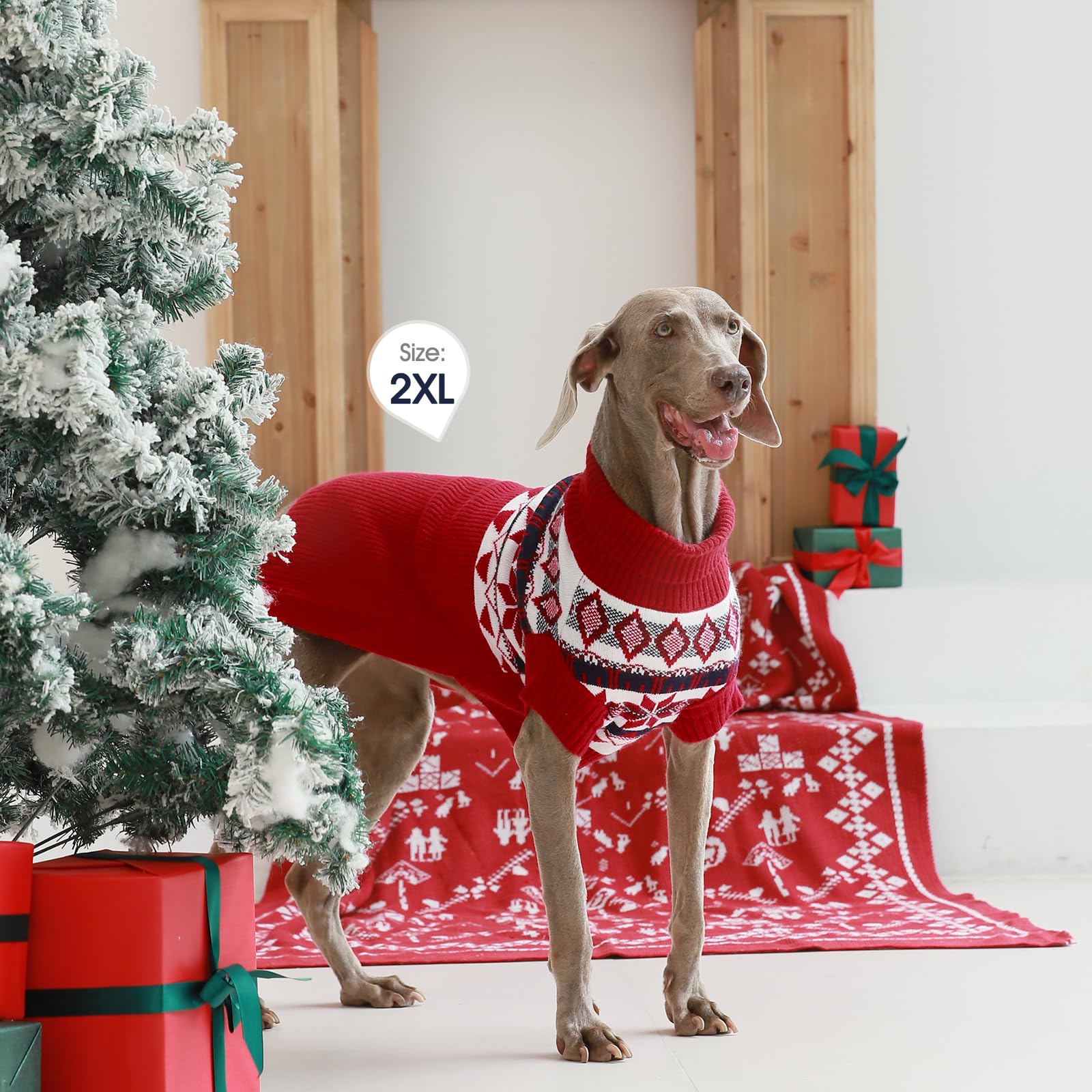 IECOii dog sweater care is machine washable, simplifying maintenance.