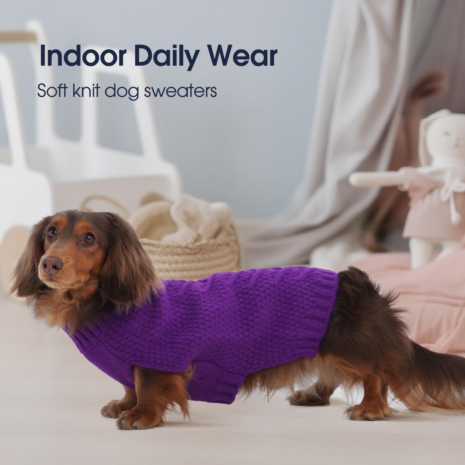 IECOii neutral-color knitted dog sweater for versatile look