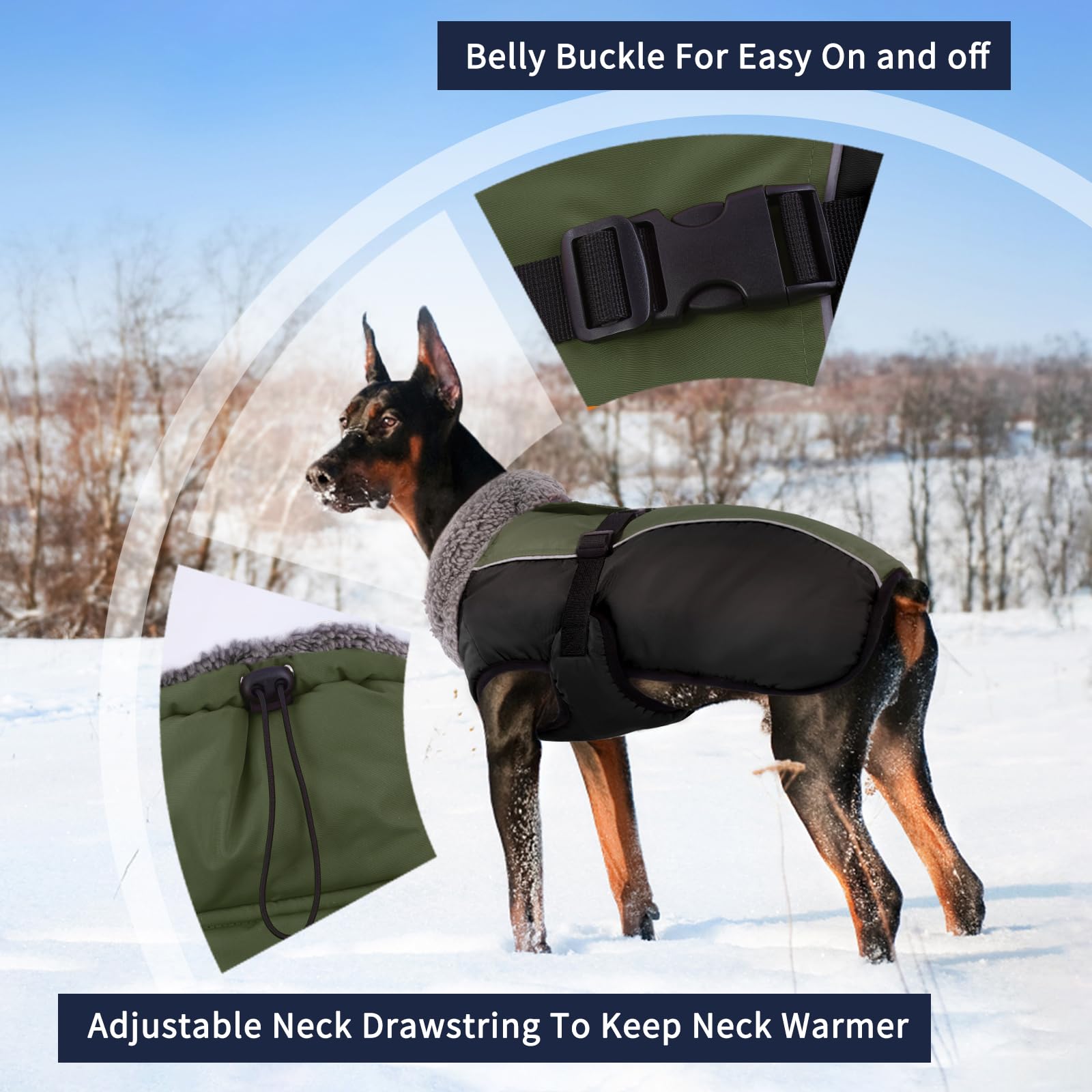 IECOii reflective-strip-visibility enables safer nighttime dog walks.