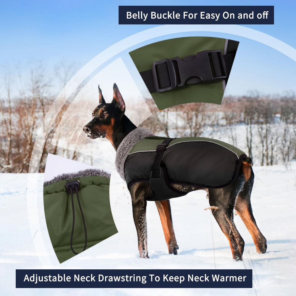 IECOii reflective-strip-visibility enables safer nighttime dog walks.