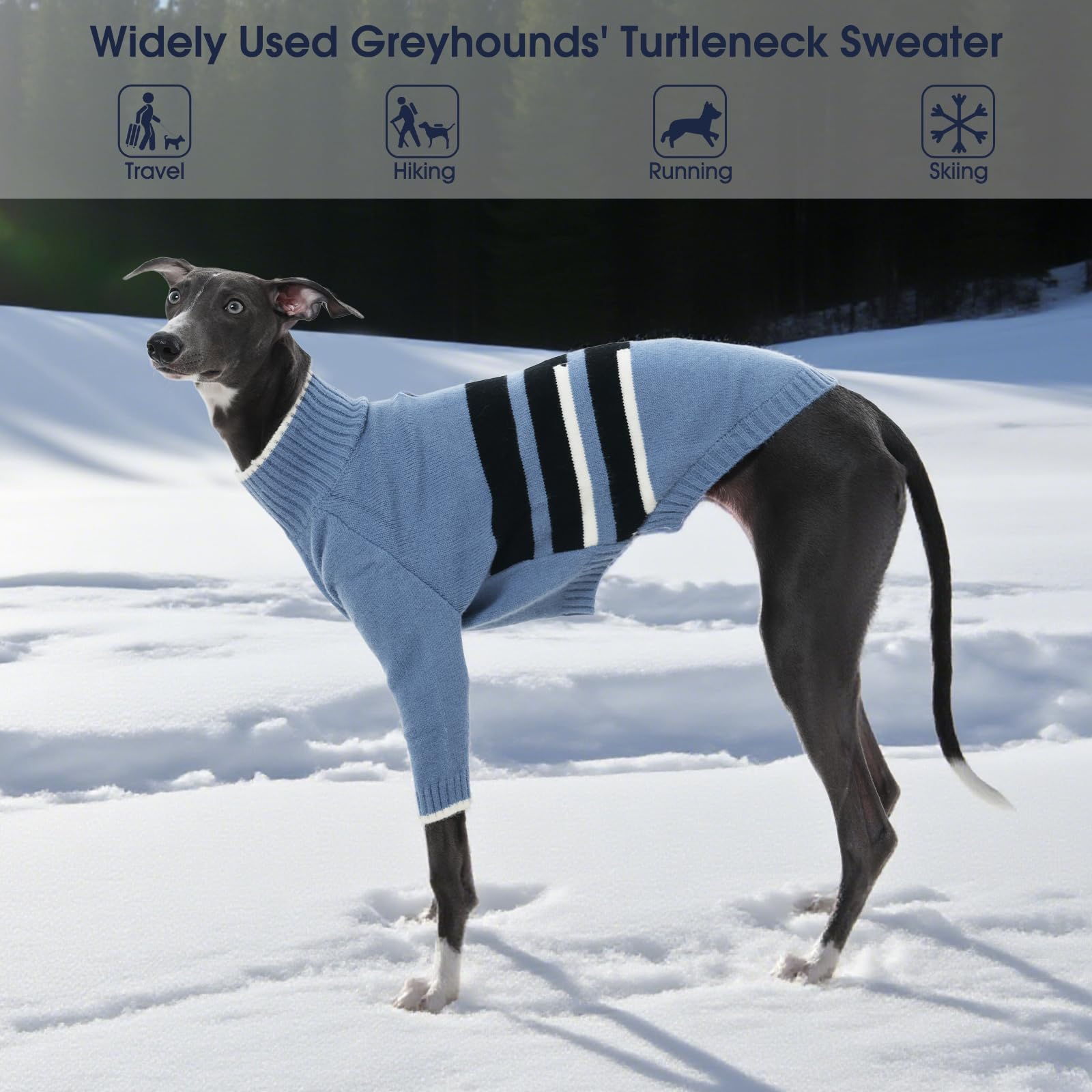 IECOii sighthound walking outfit designed for comfort and easy layering.
