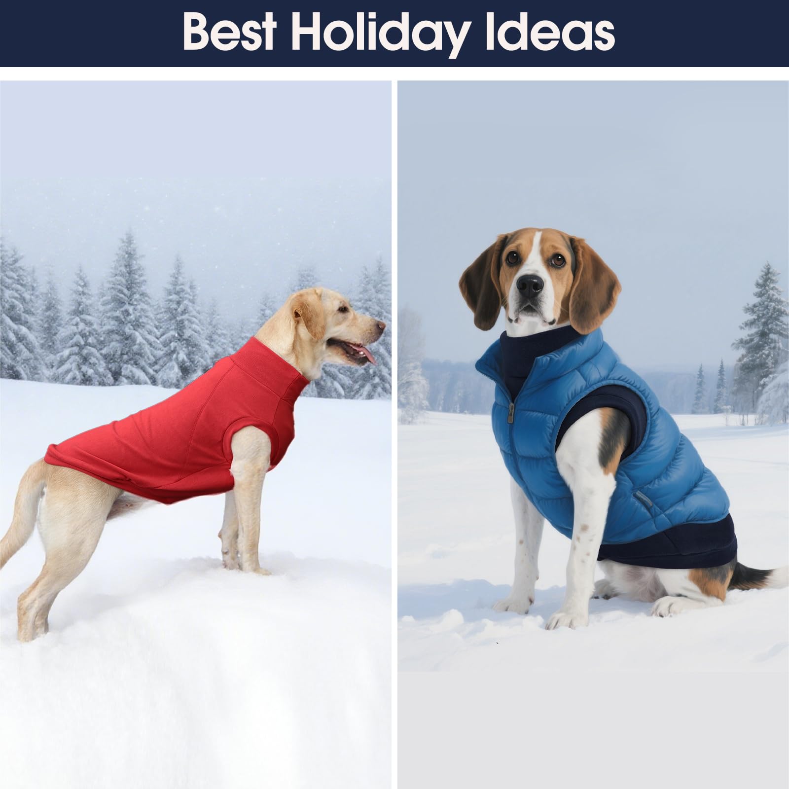 IECOii two-piece fleece set durable and fade-resistant colors