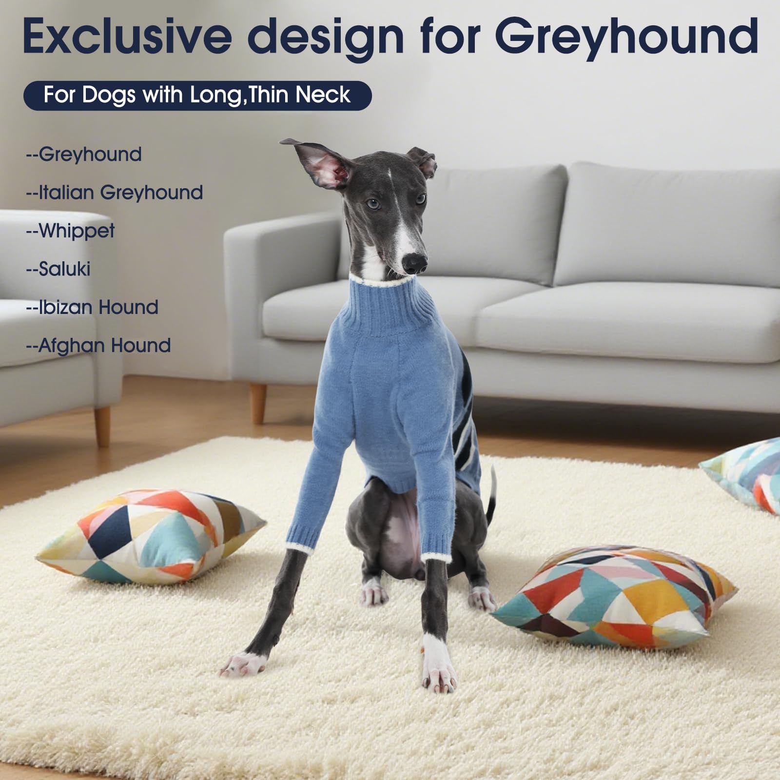 IECOii Warm Sighthound Sweater small blue worn on walk demonstrates outdoor warmth
