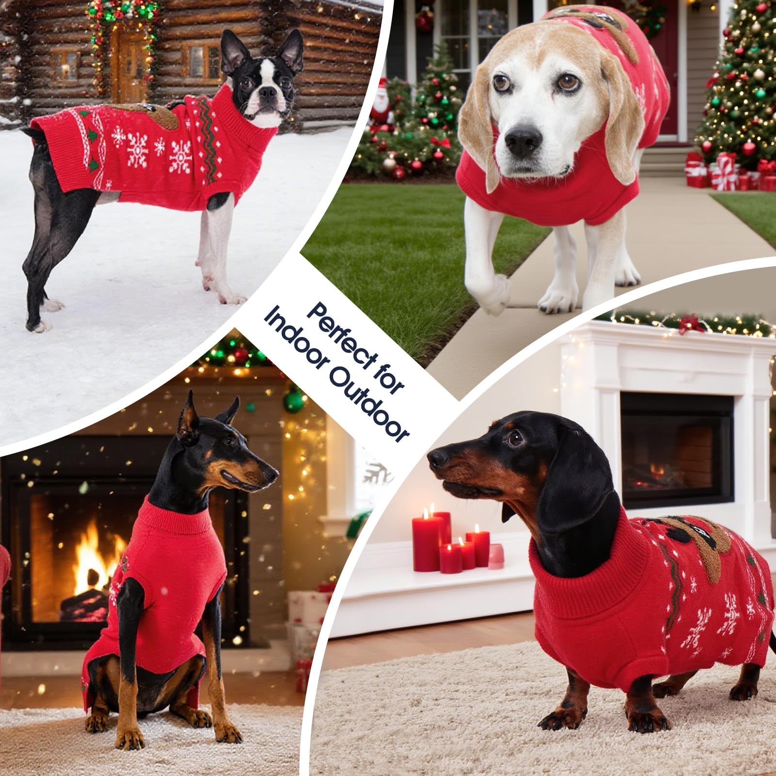 IECOii warm stretchy fabric provides comfortable movement for large dogs during walks.