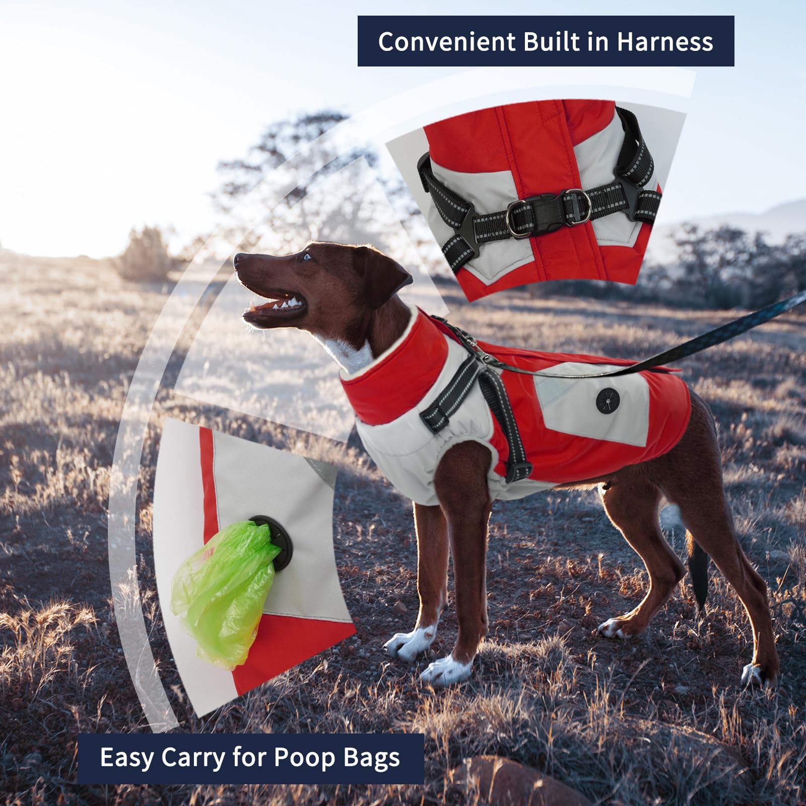 IECOii Warm Zip Dog Jacket back view shows built-in harness and pockets