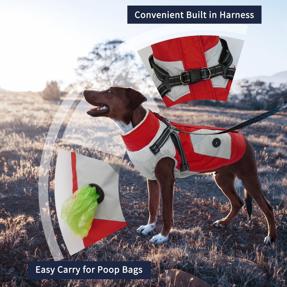 IECOii Warm Zip Dog Jacket back view shows built-in harness and pockets