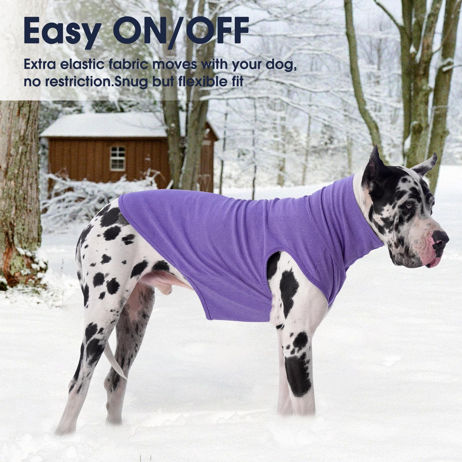 IECOii XL machine washable fabric stays fresh after outdoor adventures.