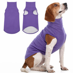 IECOii XL dog sweater with pullover turtleneck for cozy warmth during chilly walks.