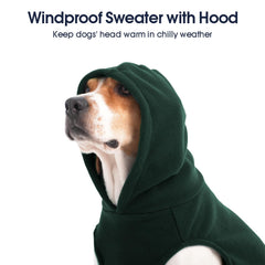 IECOii XXL Dog Hoodie green leash hole detail for easy outdoor walks