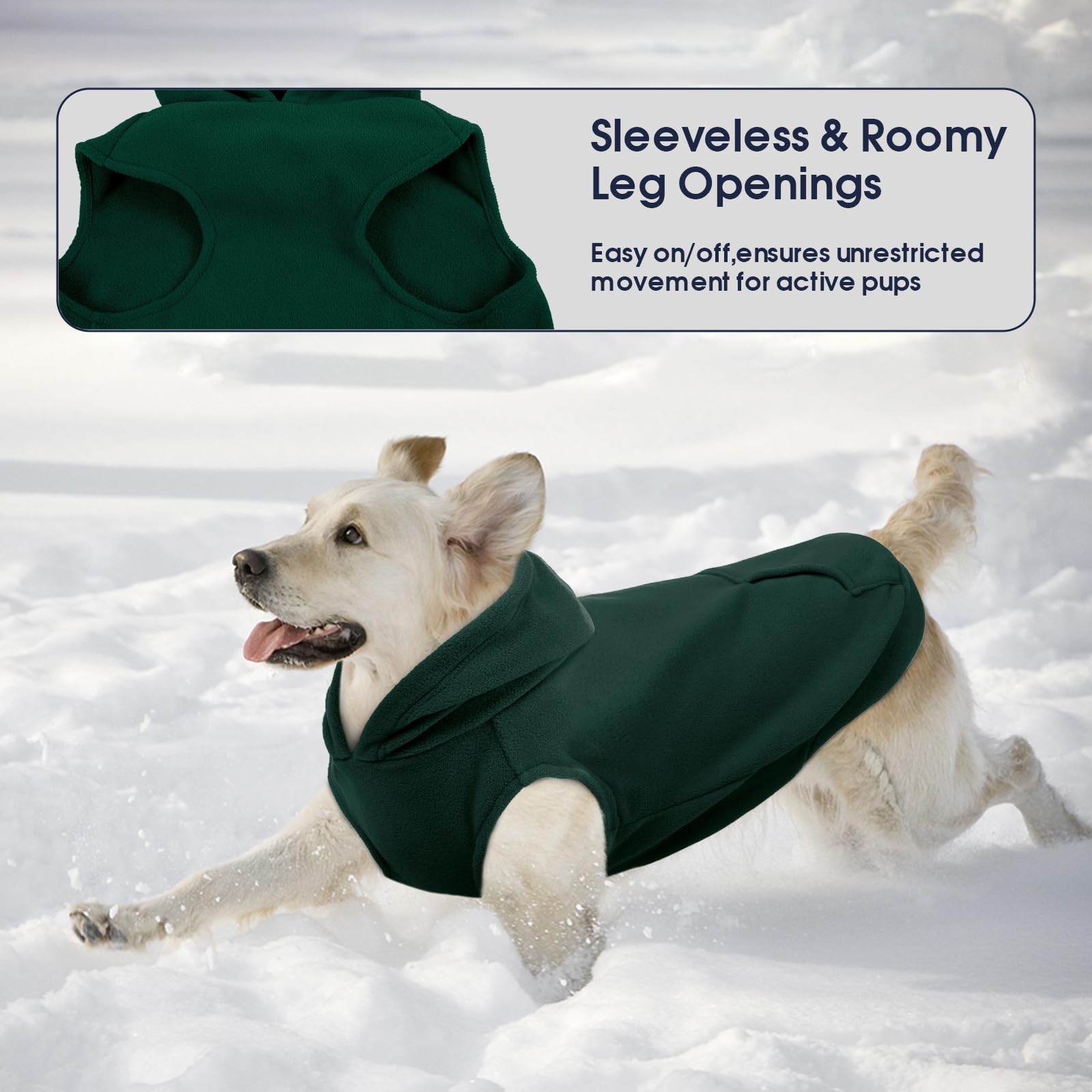 IECOii XXL Dog Hoodie green worn on dog during walk for secure fit