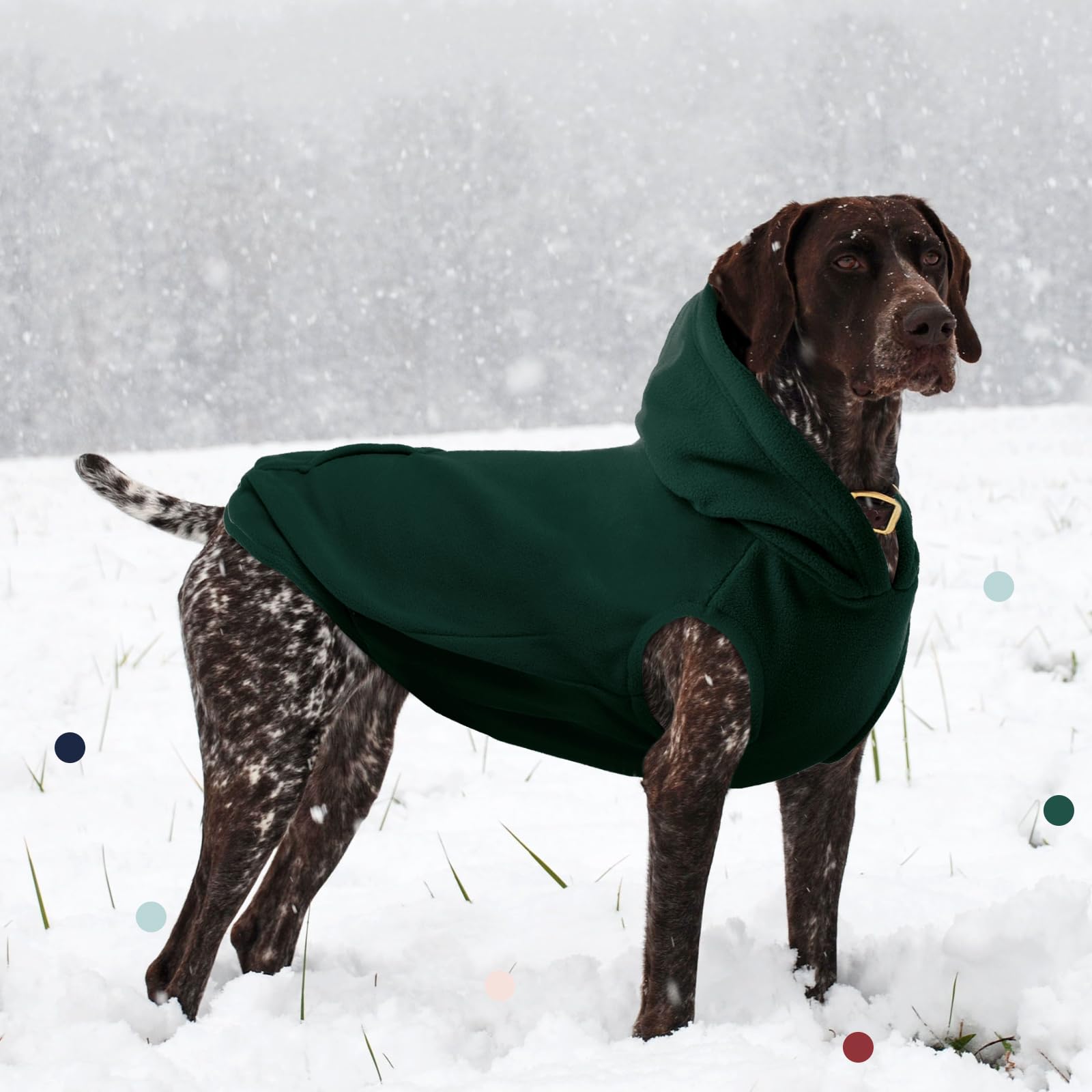 IECOii XXL Dog Hoodie green packaged for gifting and quick use