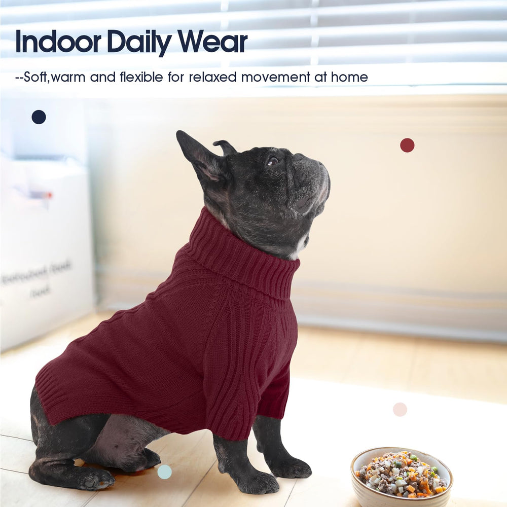 IECOii XXL dog sweater holiday styling for cute photo moments.