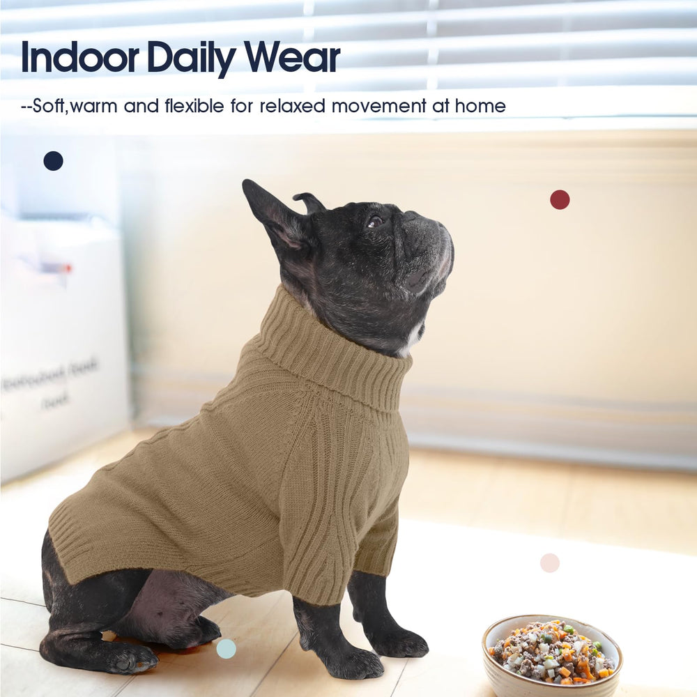 IECOii XXL dog sweater on dog pose demonstrates versatile everyday wear.