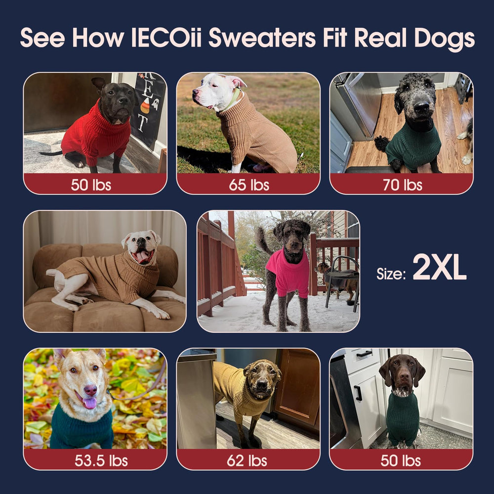 IECOii XXL dog sweater sleeve detail highlights easy-on pullover design.
