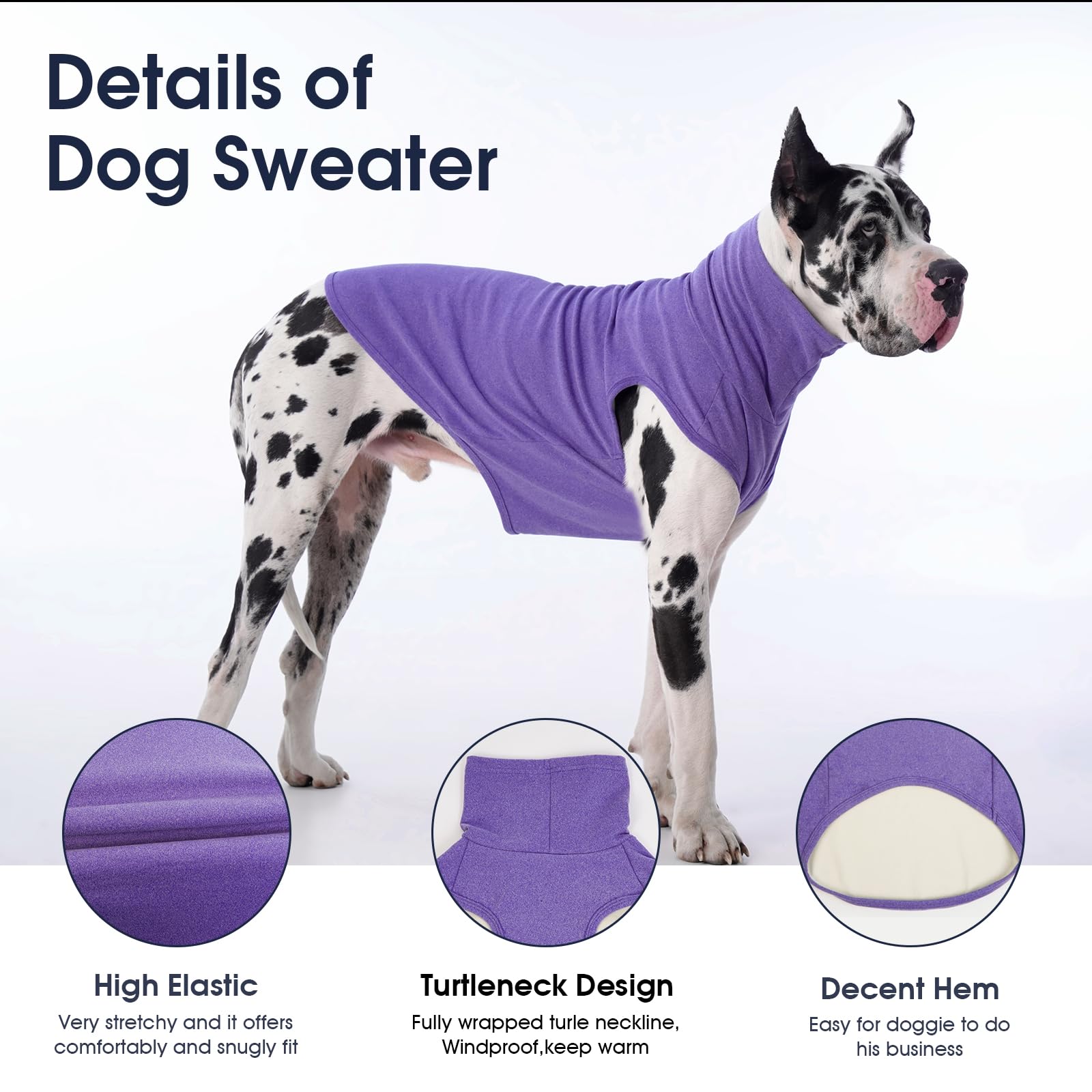IECOii fleece vest on a dog during winter walk emphasizes cozy protection