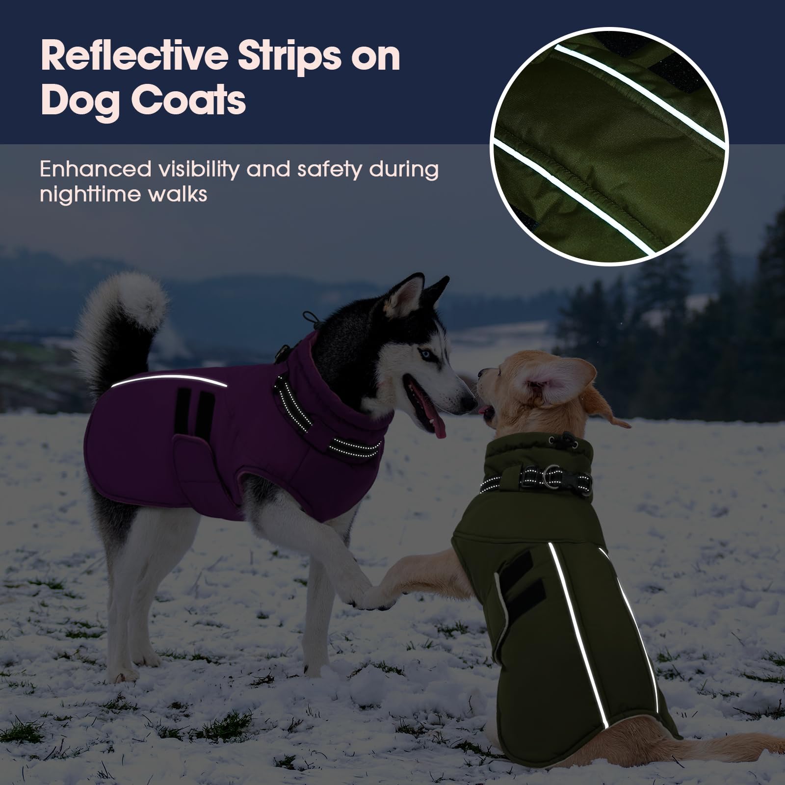 IECOii XXXL army green fabric suits large breeds like Great Dane