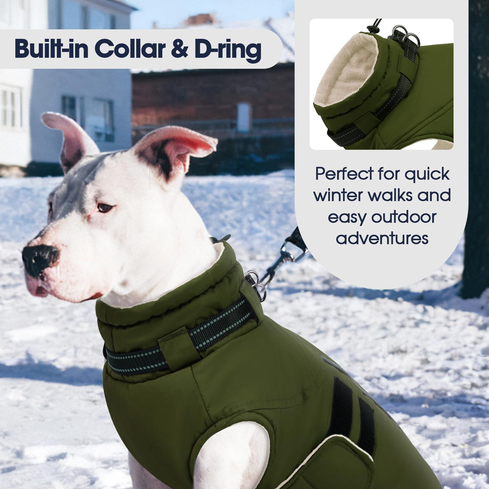 IECOii XXXL built-in collar with D-ring for easy leash attachment