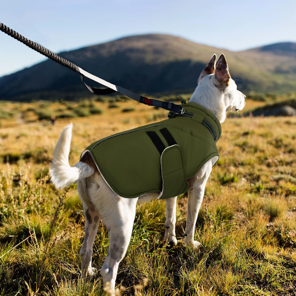 IECOii XXXL balanced warmth without bulk for easy layering