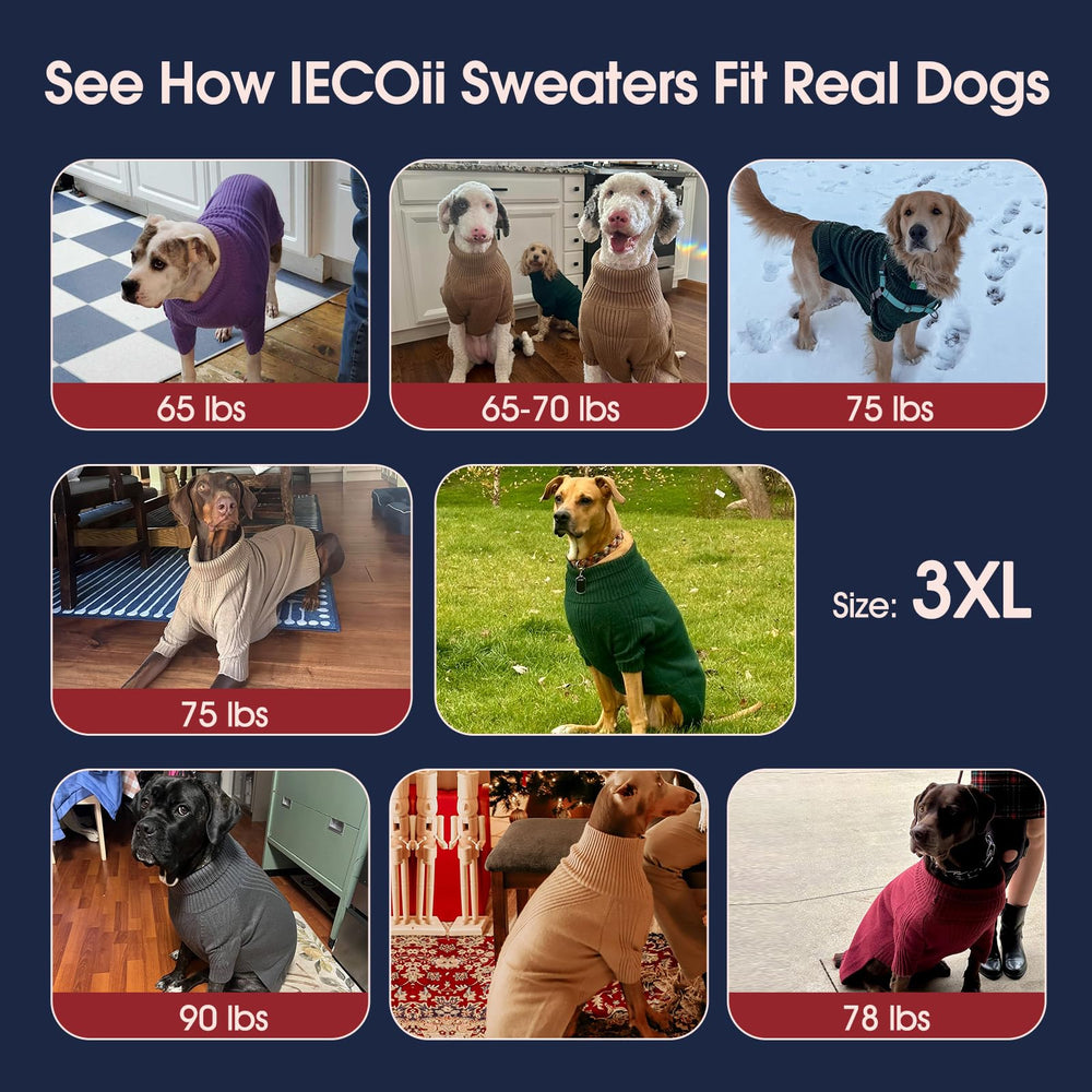 IECOii XXXXL dog sweater green pullover on large dog demonstrates easy on/off