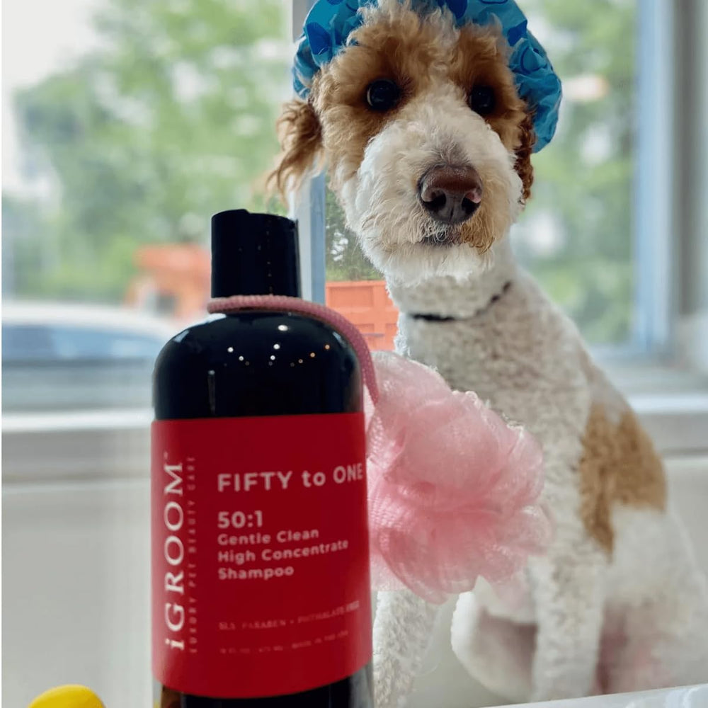 iGroom 50-to-1 dog shampoo foamy lather enriching coat during bath