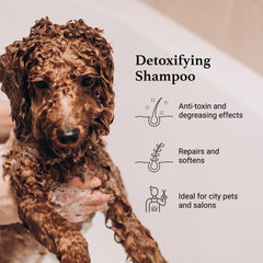 iGroom Charcoal Keratin Dog Shampoo curly-coat shot emphasizing shine and frizz reduction.