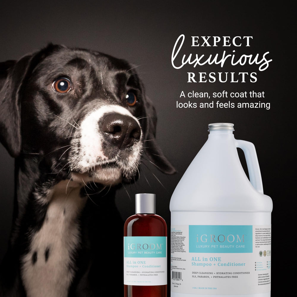 iGroom chestnut extract helps repair heat-damaged coat