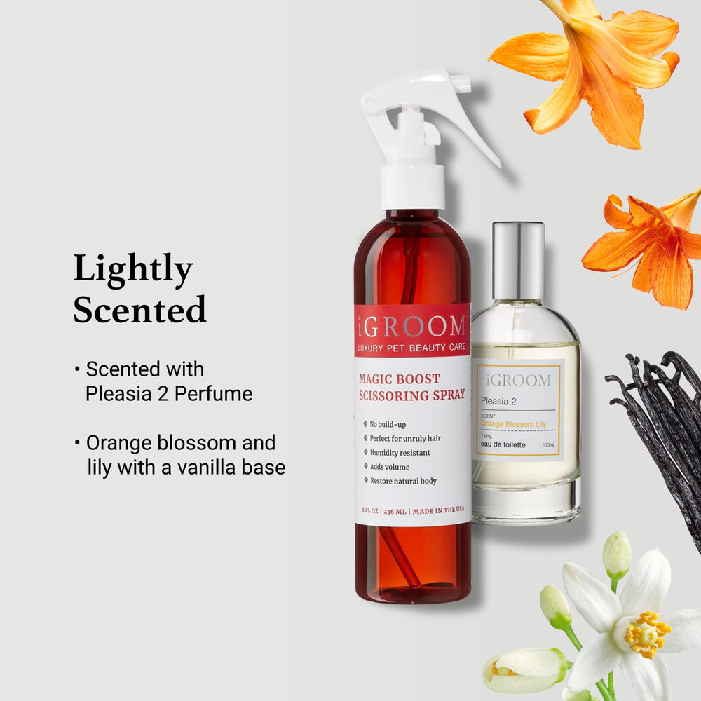 iGroom Magic Boost professional-size bottle for salon-grade results.