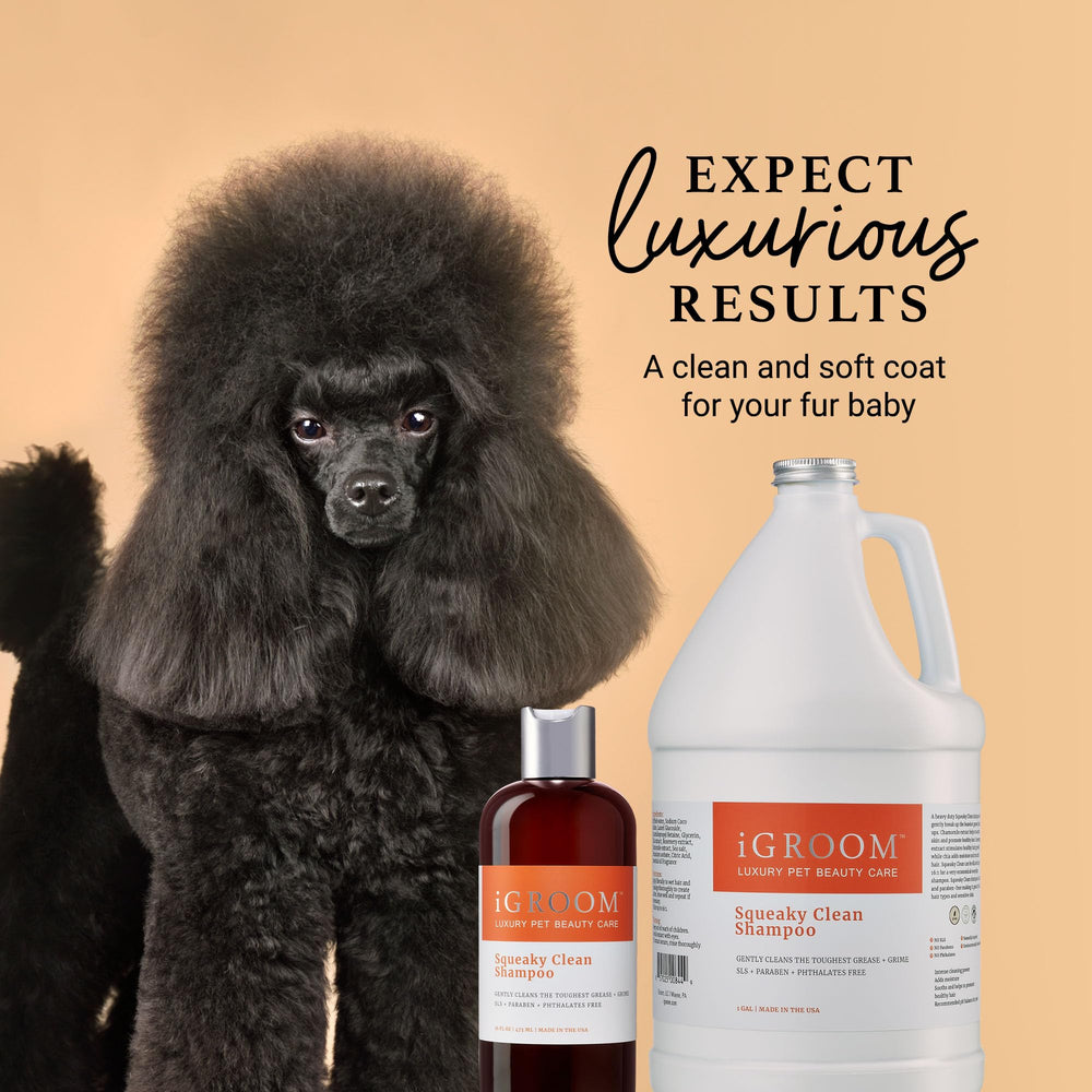 Rosemary extract in iGroom Squeaky Clean supports coat health.