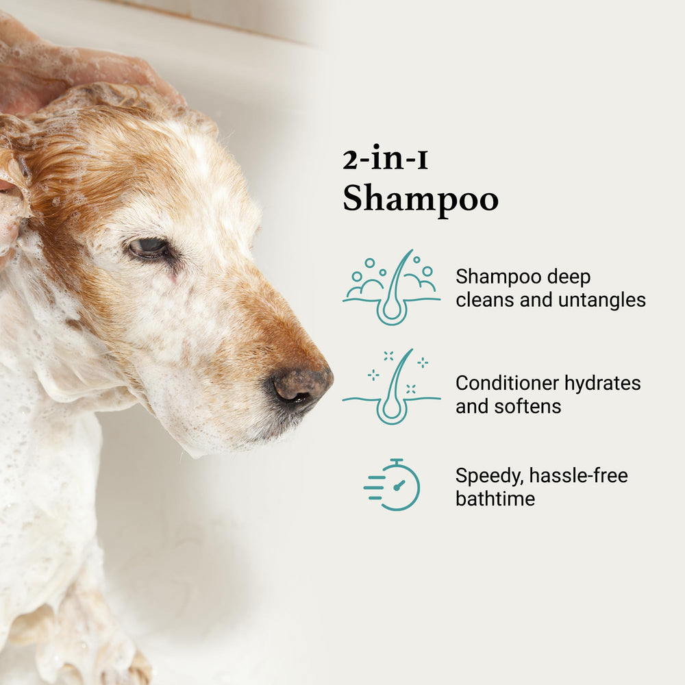 iGroom sunflower extract moisture supports soft, shiny fur