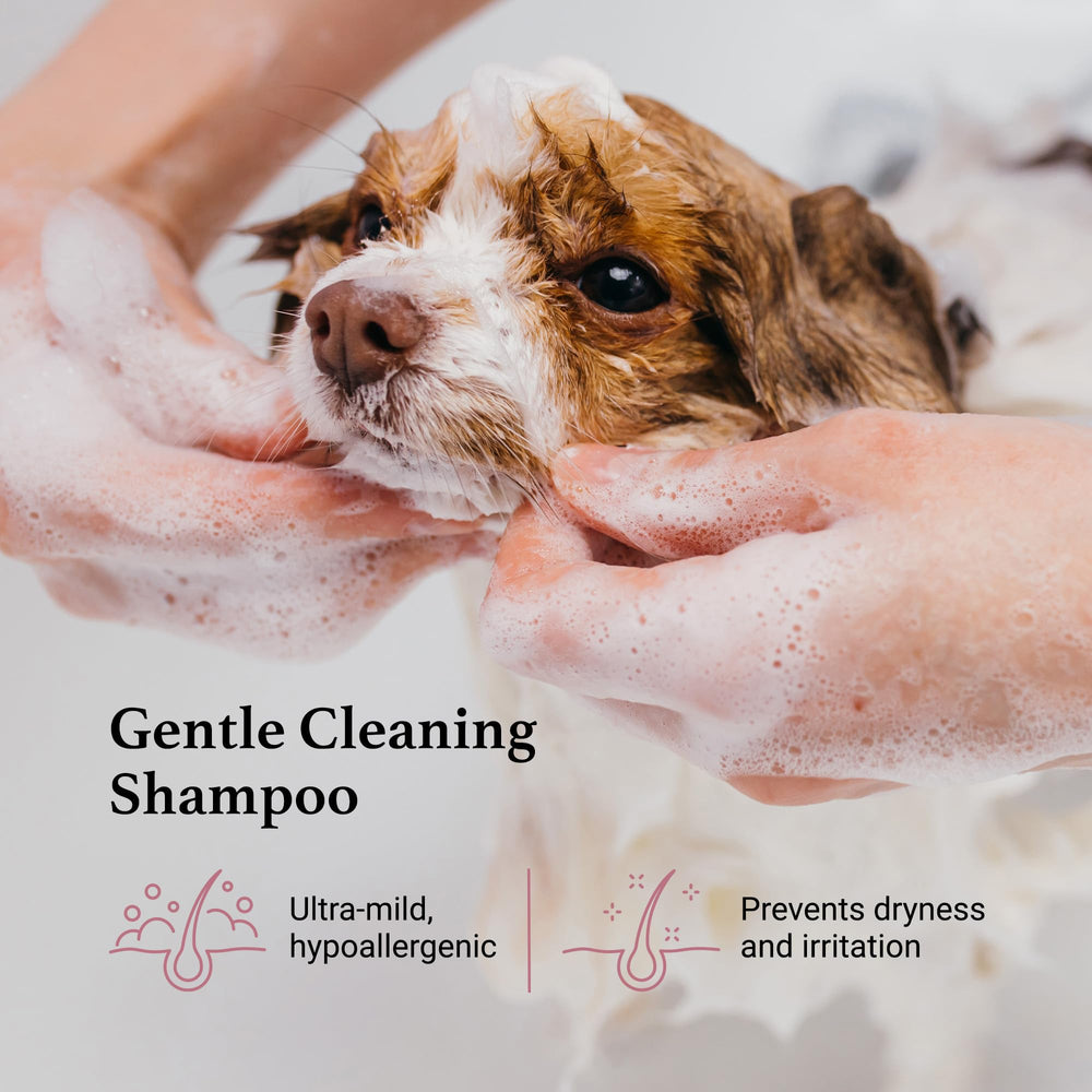 iGroom Tearless Shampoo foam image demonstrates easy, soothing cleansing