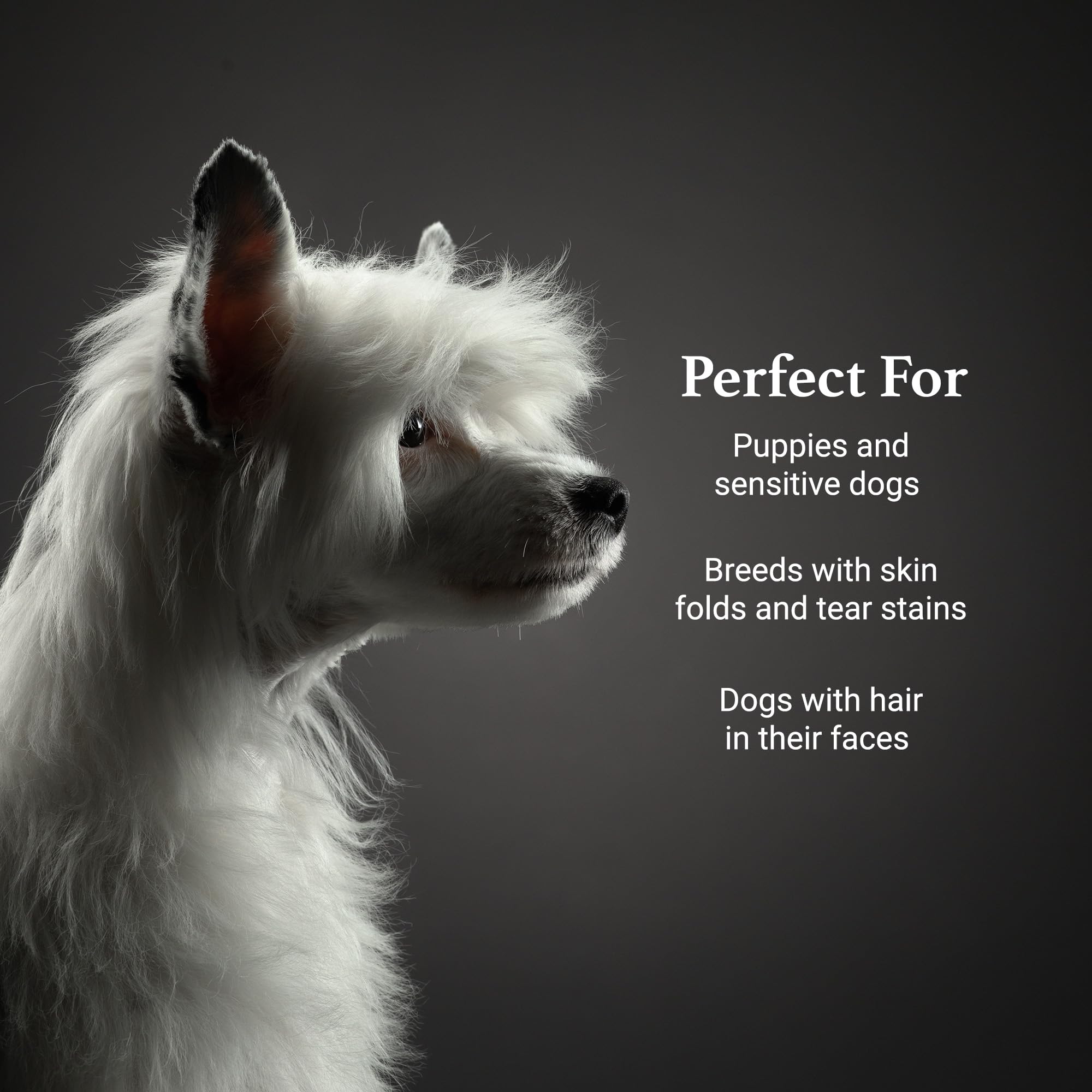 iGroom Tearless Shampoo gallon pack illustrates professional-size option for grooming