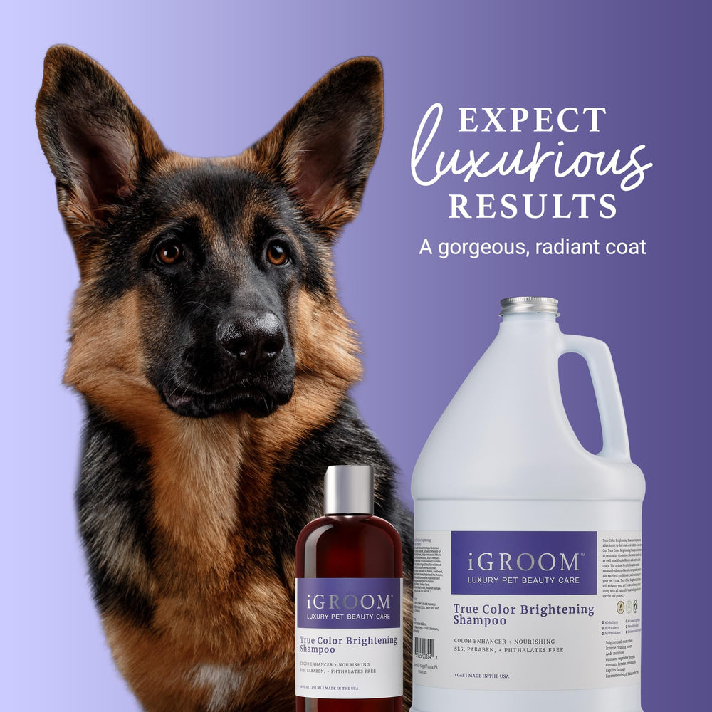 iGroom True Color evergreen scent enhances grooming routine with a fresh aroma.